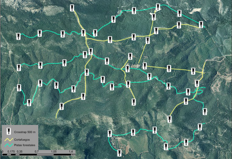 installation for the detection and monitoring
