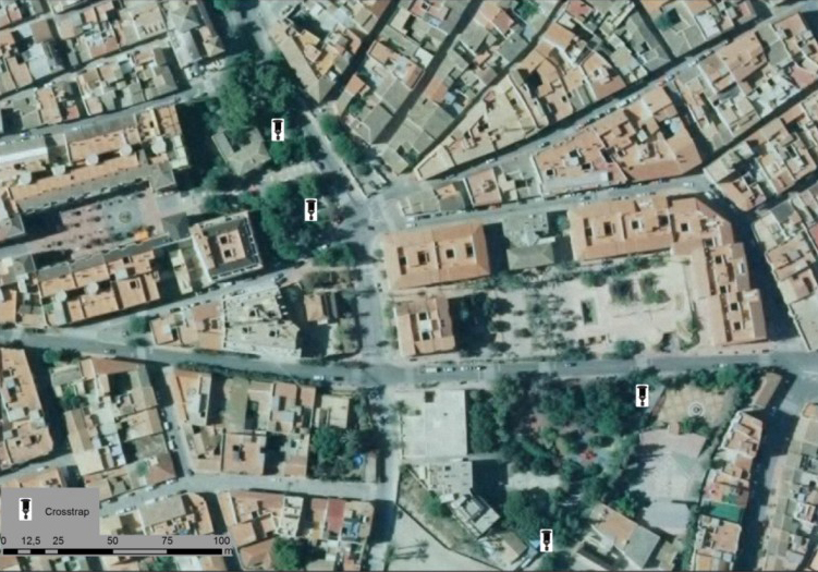 trap placement for the control Tomicus destruens